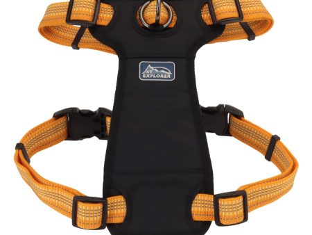 Coastal K9 Explorer Brights Reflective Front-Connect Harness Online Hot Sale