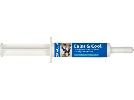 ORALX CALM & COOL ORAL SUPPLEMENT PASTE (34 GM) Cheap