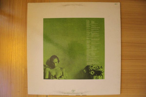 Another Green World Hot on Sale